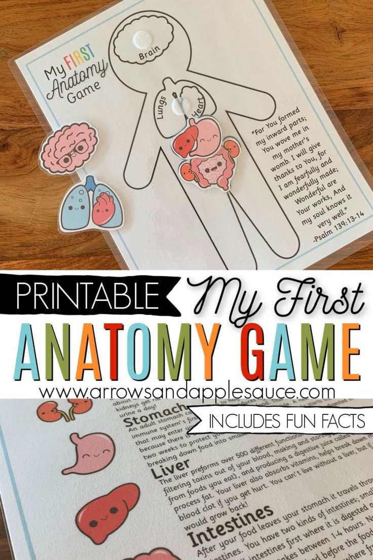 printable my first anatomy game for kids to play on the table with text overlay that says, printable my first anatomy game