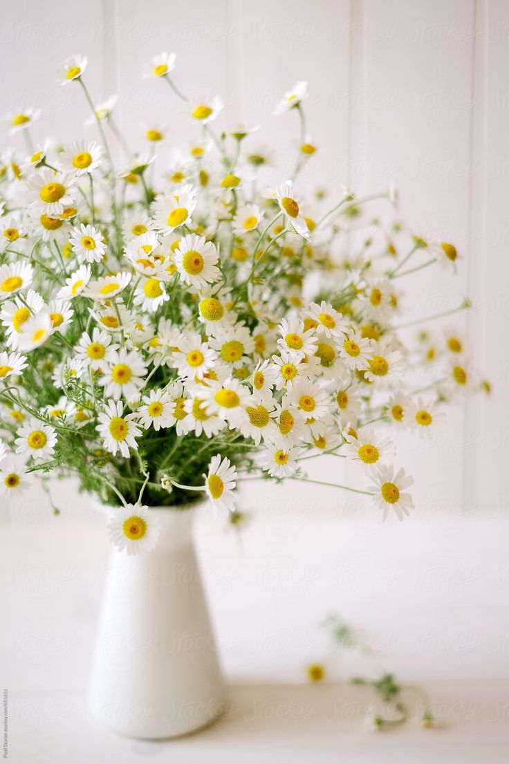 a white vase filled with lots of daisies on top of a table next to a wall