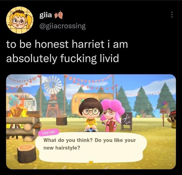 Edna Mode, Animal Crossing Funny, Animal Crossing Fan Art, Animal Crossing Memes, Animal Crossing Characters, Cartoon Couple, New Animal Crossing, Animal Crossing Game, Be Honest