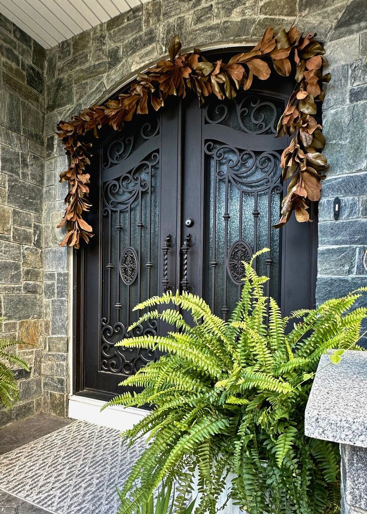 a plant is in front of a black door