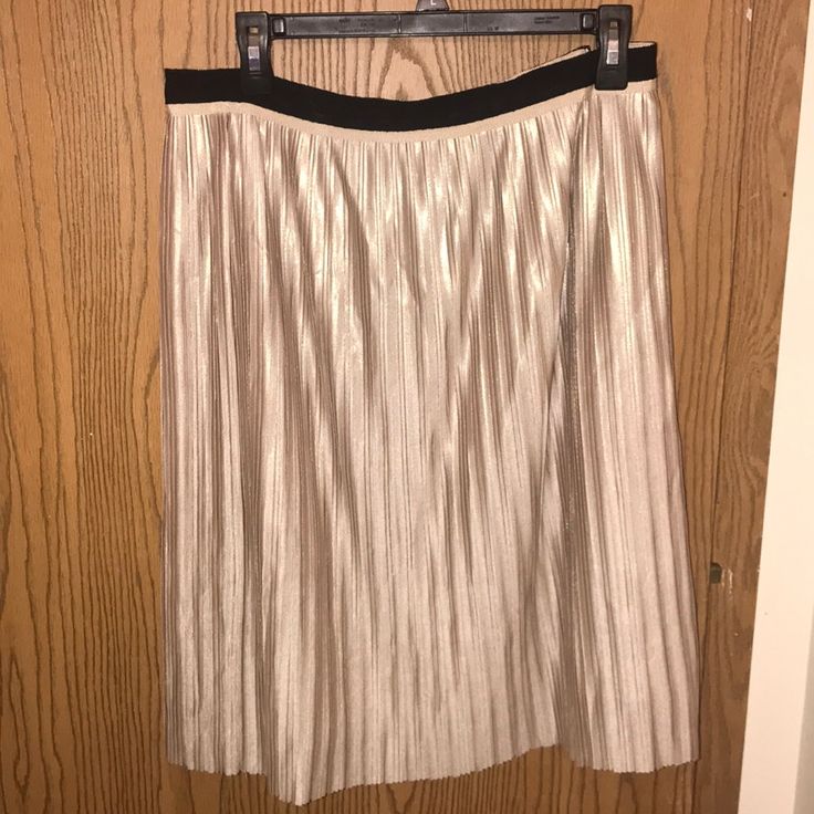 Tommy Hilfiger Pleated Shimmer Skirt Nwt Would Be Perfect For A Christmas Party Or Any Event That Calls For Dressing Up Beige Pleated Party Bottoms, Pleated Beige Party Bottoms, Beige Midi Pleated Skirt For Party, Beige Pleated Midi Skirt For Party, Tommy Hilfiger Mini Skirt For Spring, Tommy Hilfiger Spring Mini Skirt, Party Pleated Skirt Bottoms In Cream, Party Cream Pleated Skirt, Fitted Tommy Hilfiger Skirt