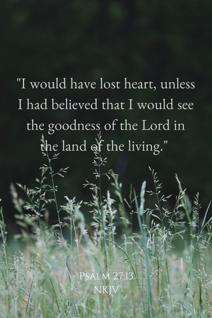 grass with the words i would have lost heart, unless i had belved that i would see the goodness of the lord in the land of the living