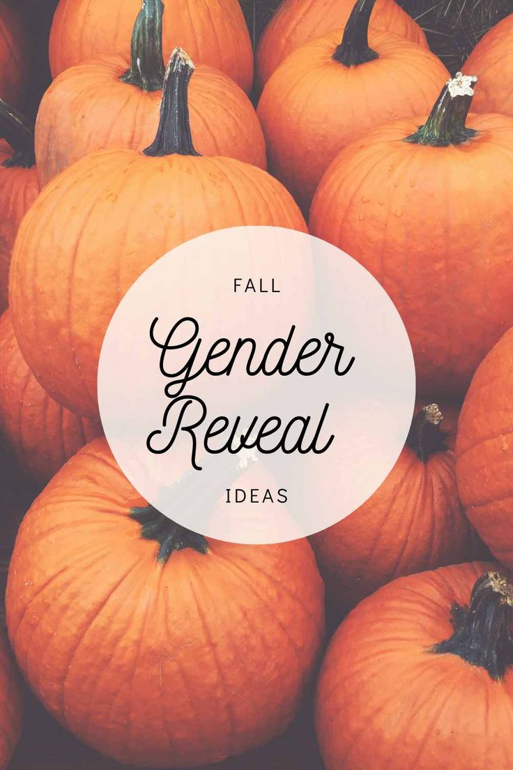 a pile of orange pumpkins with the words fall gender reveal on it's center circle