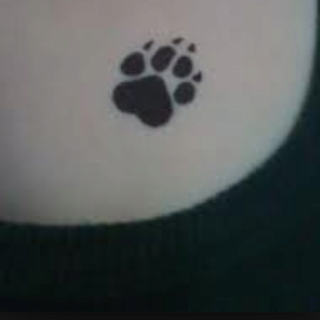 an animal paw print on the back of a shirt