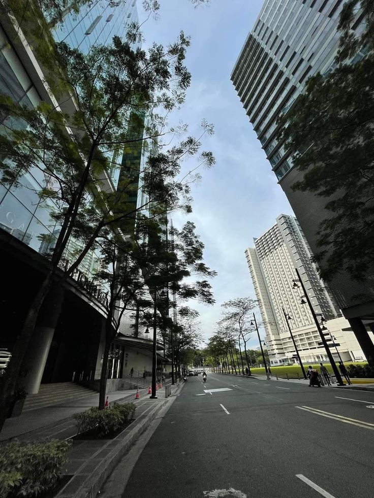 an empty city street with tall buildings in the back ground and trees on both sides