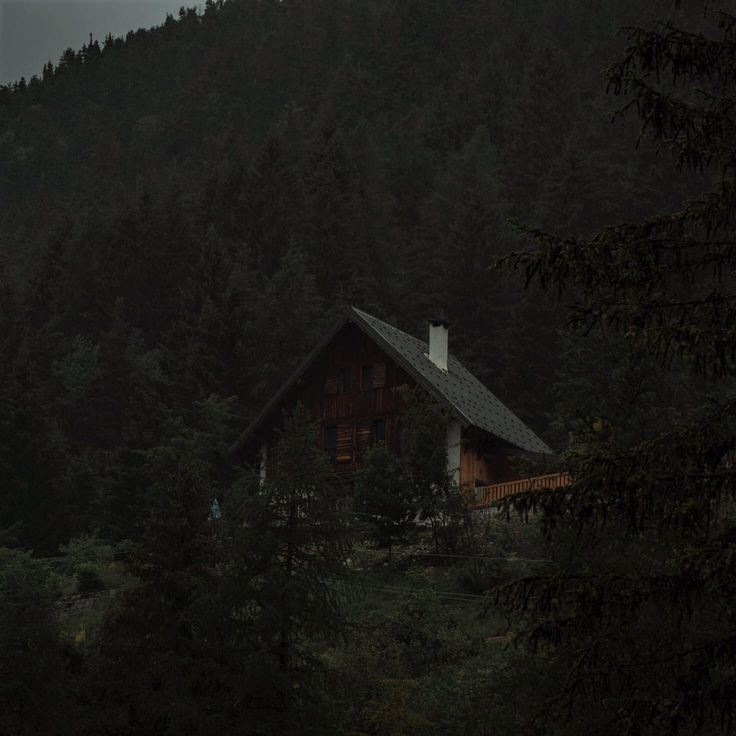 a cabin nestled in the woods on a foggy day with dark clouds above it