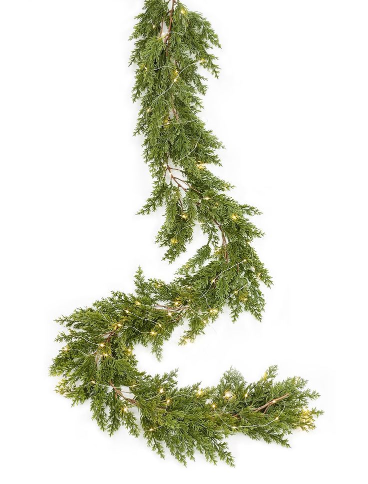 an evergreen garland with lights hanging from it