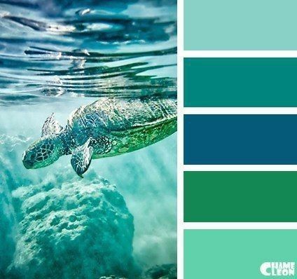 a turtle swimming in the ocean with blue and green hues