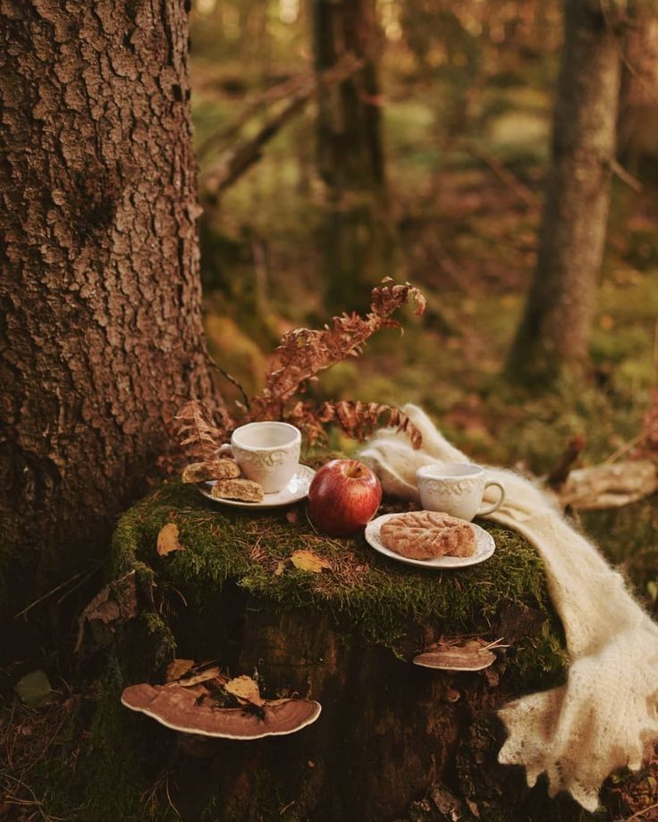 an apple and coffee cup on a mossy log in the woods