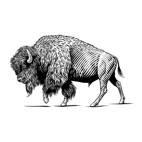 an animal that is standing on the ground in black and white ink, it looks like a bison