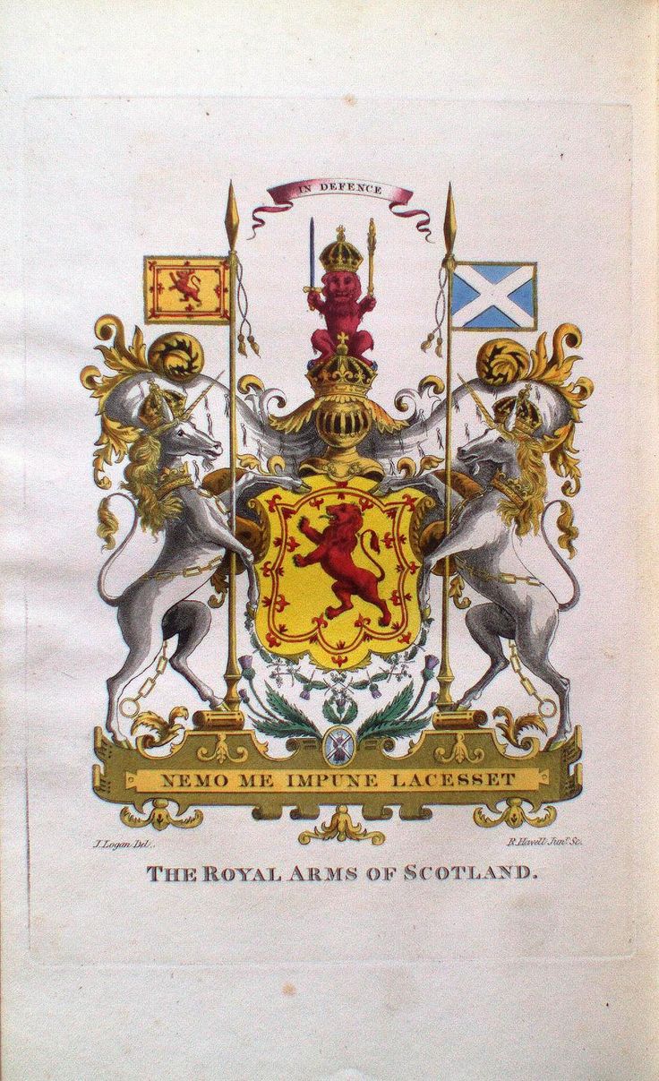 the royal arms of scotland is depicted in an old book with gold trimmings