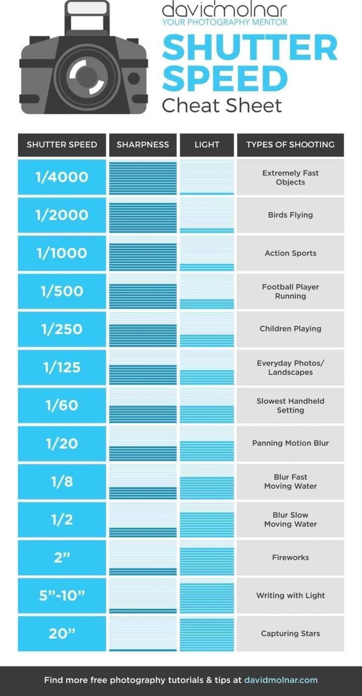 an info sheet showing the different types of cameras