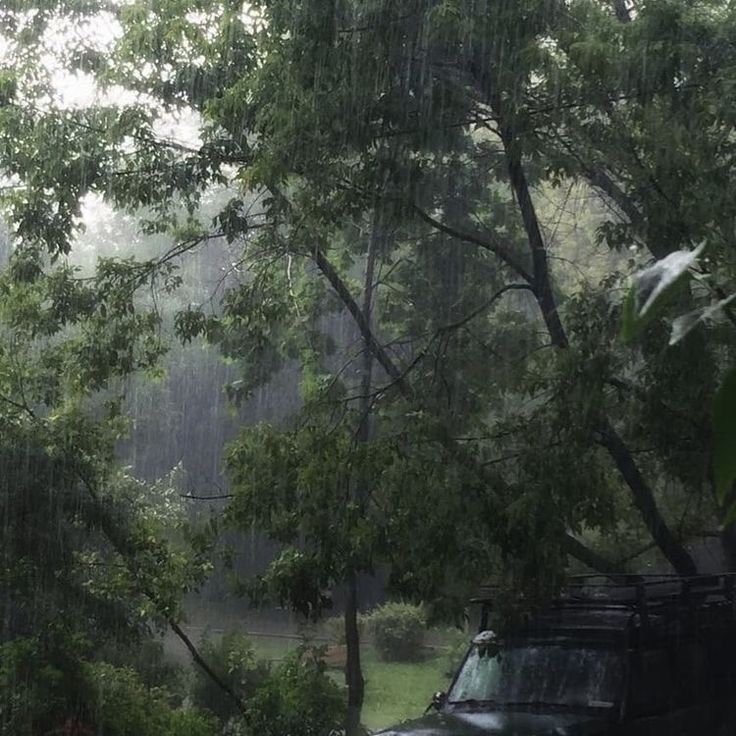 an suv is parked in the rain by some trees