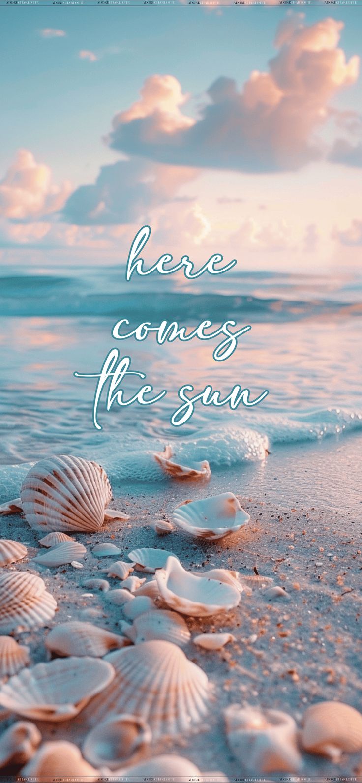 seashells on the beach with words here comes the sun