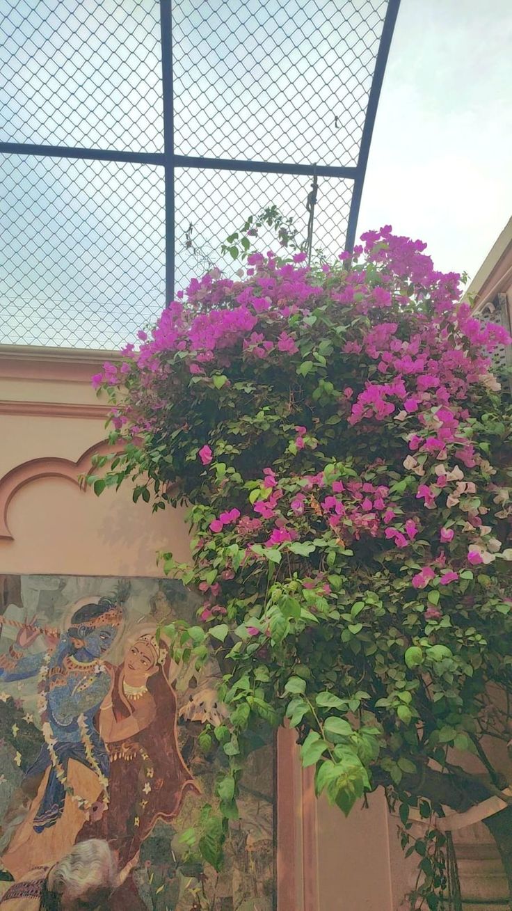 purple flowers growing on the side of a building with a mural in the back ground