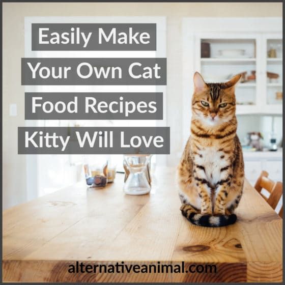 a tabby cat sitting on top of a wooden table next to a kitchen counter