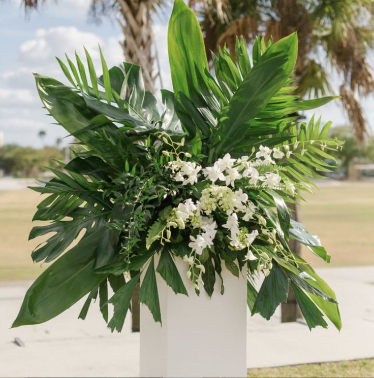 a white vase filled with lots of green plants