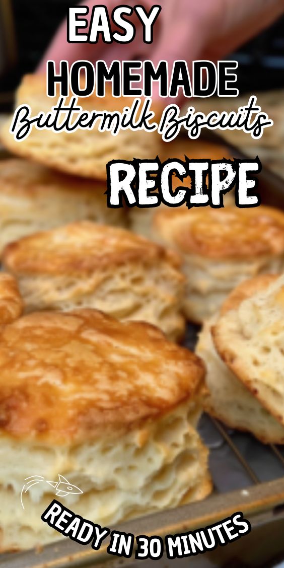 easy homemade buttermilk biscuits recipe ready in 30 minutes