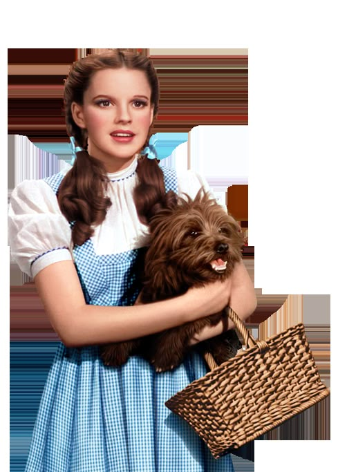 Wizard of Oz _ Judy Garland as Dorothy Gale Toto Wizard Of Oz, Wizard Of Oz Pictures, Oz Characters, Wizard Of Oz Characters, Wizard Of Oz Movie, Dorothy Costume, Dorothy Wizard Of Oz, Wizard Of Oz 1939, Follow The Yellow Brick Road