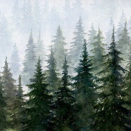 a painting of pine trees in the foggy forest with watercolors on paper