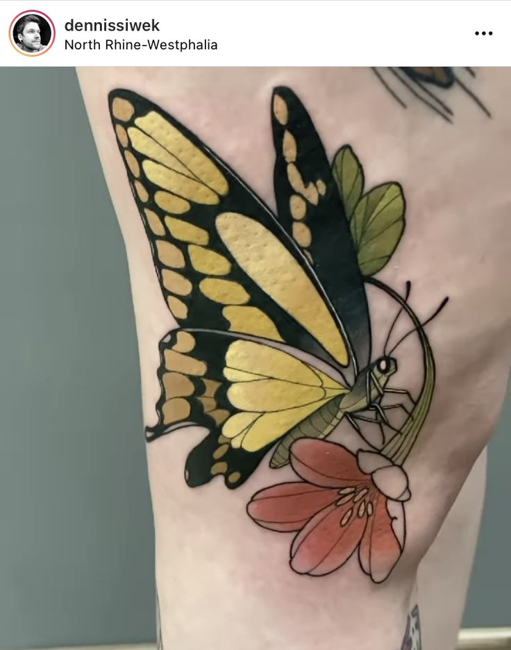 a yellow and black butterfly sitting on top of a pink flower next to a person's leg