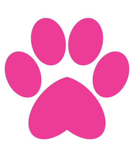 a pink paw print on a white background