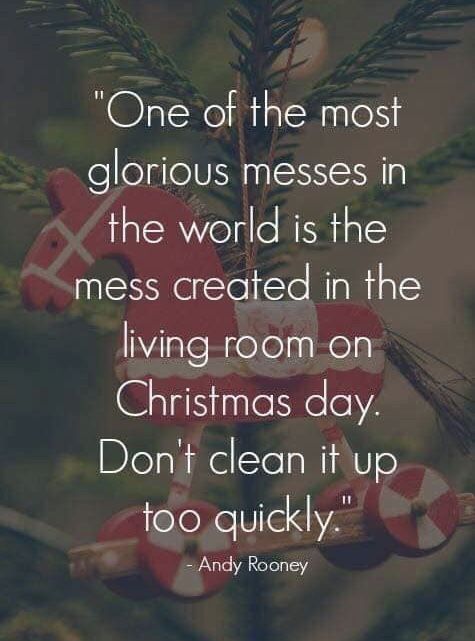 a christmas ornament hanging from a tree with the quote one of the most glorious messes in the world is the mess created in the living room on christmas day don't