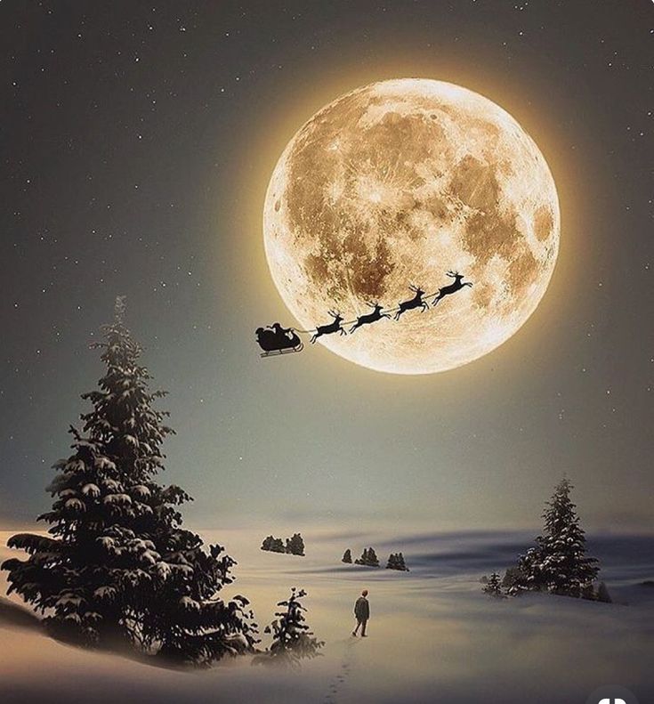 santa's sleigh flying over the snow covered trees under a full moon