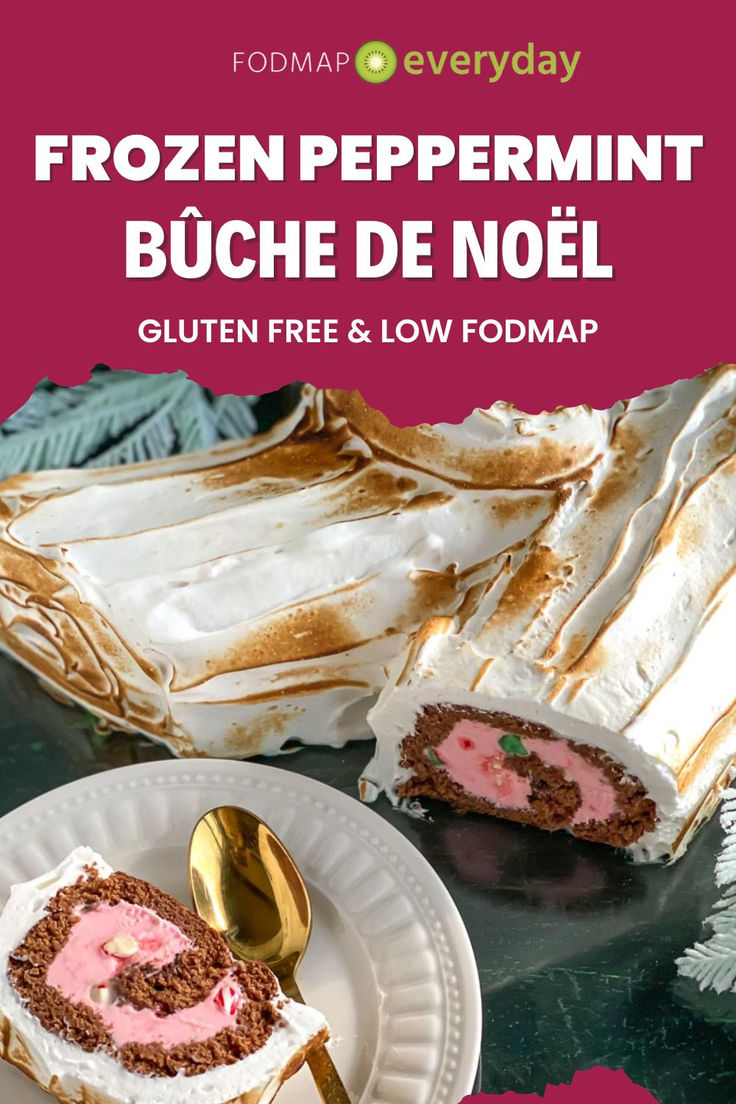 a piece of cake on a plate with a fork next to it and the title frozen peppermint buche de noel written below