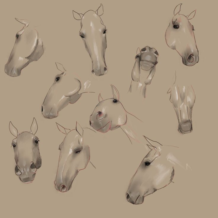 a bunch of horses that are drawn in different ways and sizes, all with their heads facing the same direction