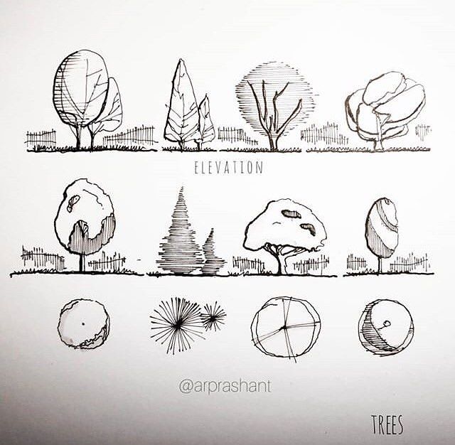 an image of trees in different stages of development and growth on a white paper background