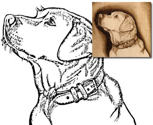 a drawing of a dog wearing a collar