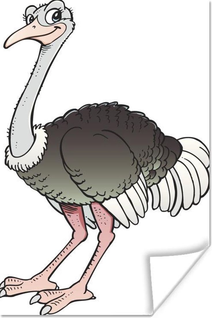 an ostrich is standing with its legs spread out