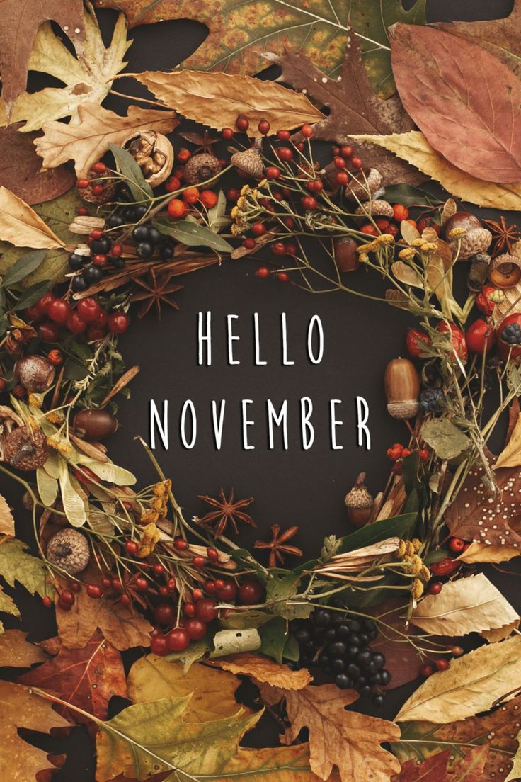 a wreath with leaves and berries around it that says hello november on the front cover