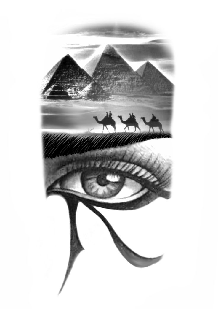 an eye with the egyptian pyramids in the background and two camels behind it