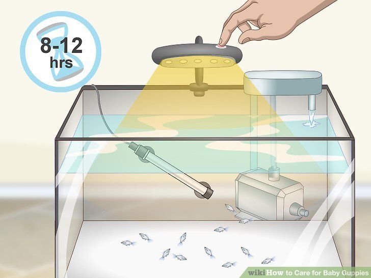 a person is pressing buttons on a button in a fish tank with water and other items