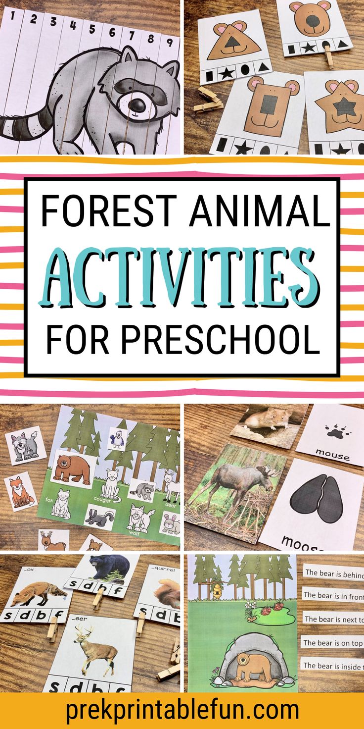 forest animal activities for preschool and homeschool