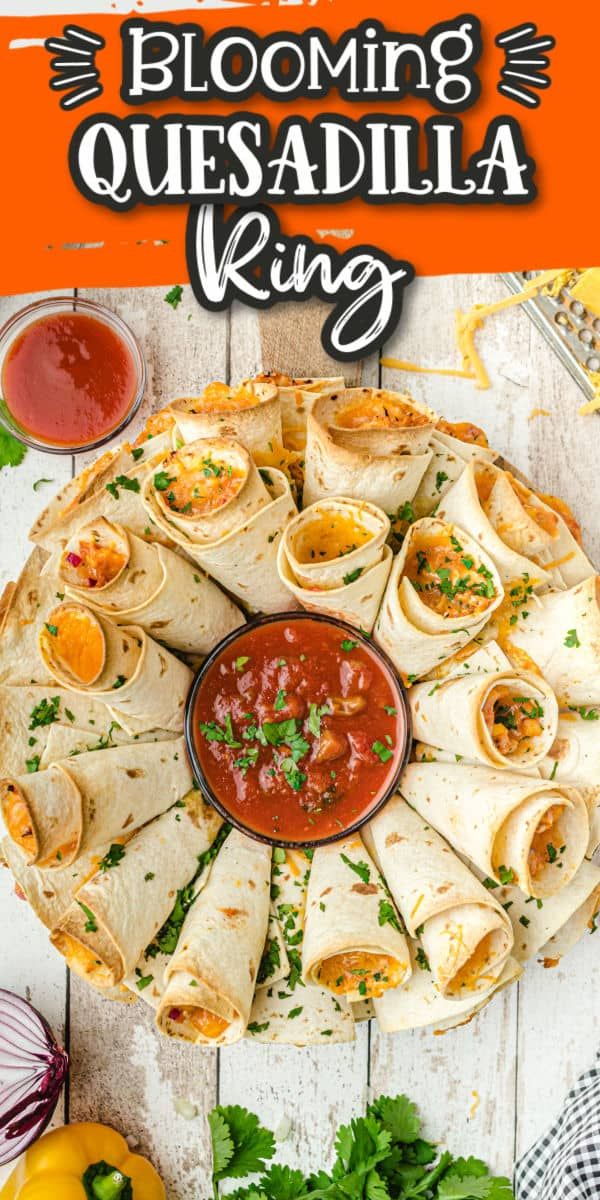 a plate filled with quesadilla and salsa