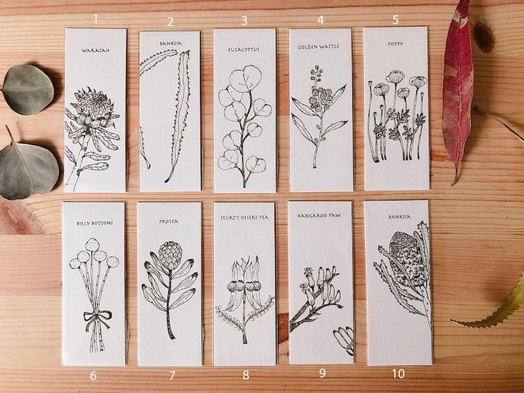 six cards with different flowers on them sitting on a table next to leaves and stones