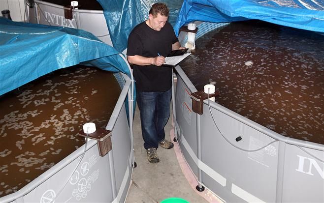 a man standing inside of a large tank filled with brown liquid and surrounded by blue tarps