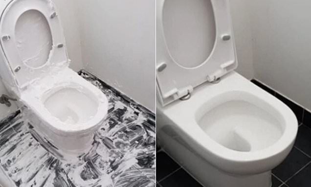 two pictures of a toilet with the seat up