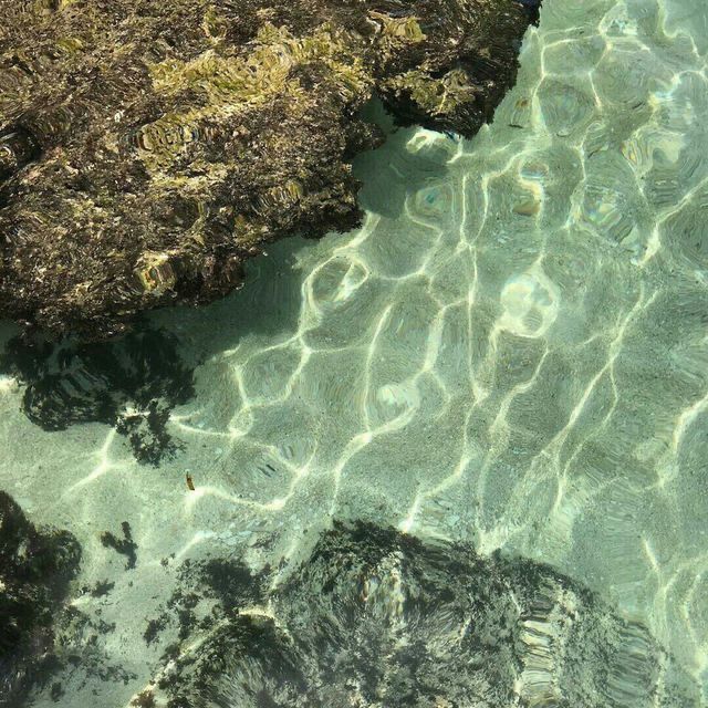 the water is crystal clear and there are some rocks in front of it with seaweed growing on them