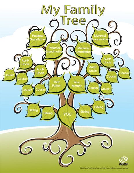 a family tree with the names of each member in green leaves and swirls on it