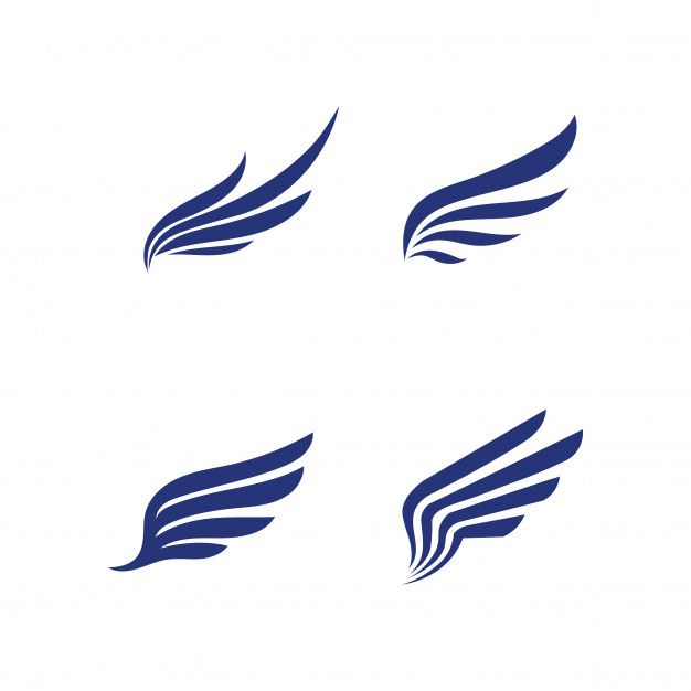 four blue wings on a white background, each with different shapes and lines in the shape of a wing