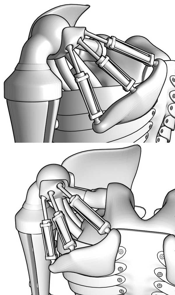 two views of the human body with different parts