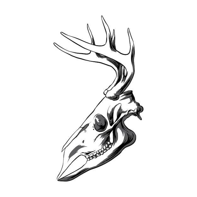 a deer's head with antlers is shown in black ink on a white background