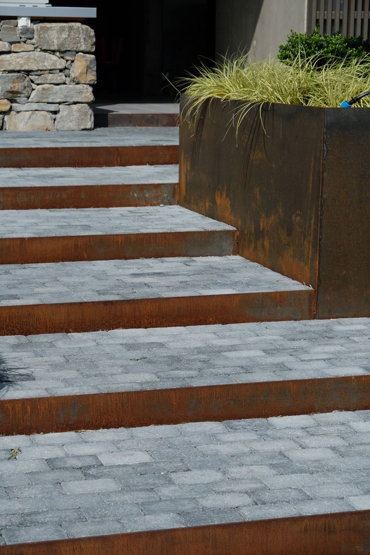 there is a cat that is sitting on the steps in front of some planters