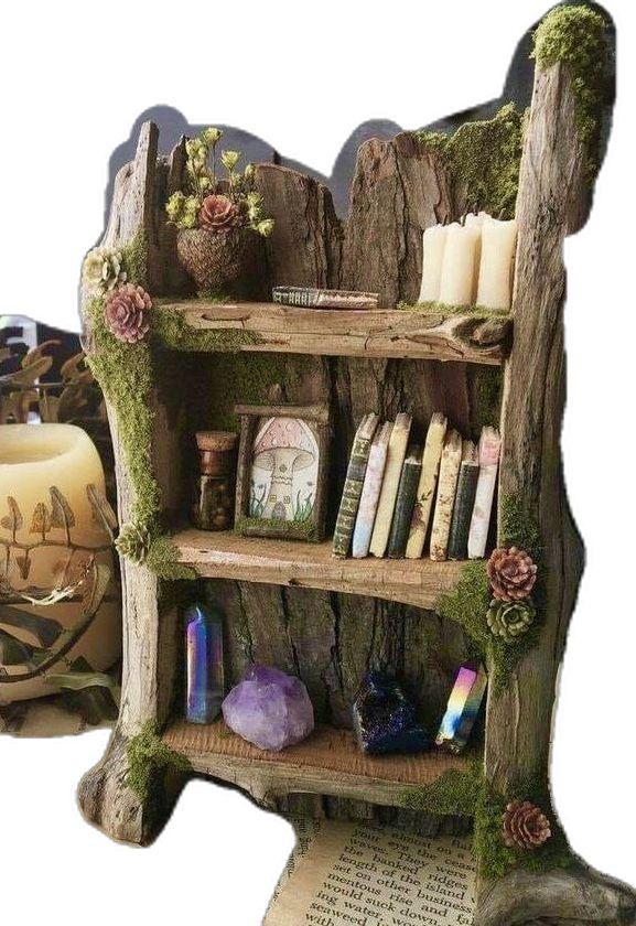 an old book shelf with moss growing on it and some candles in the back ground