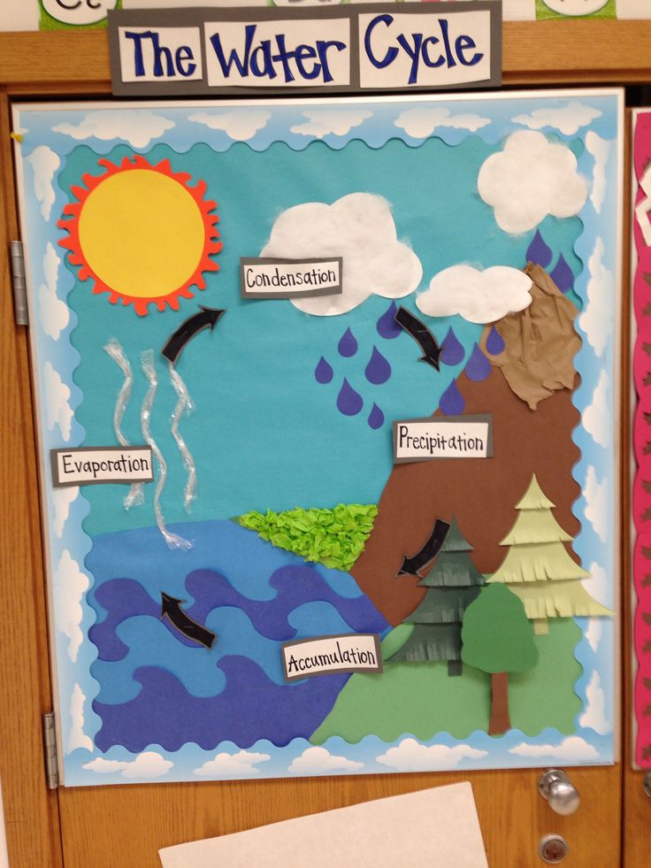 a bulletin board with water cycle on it