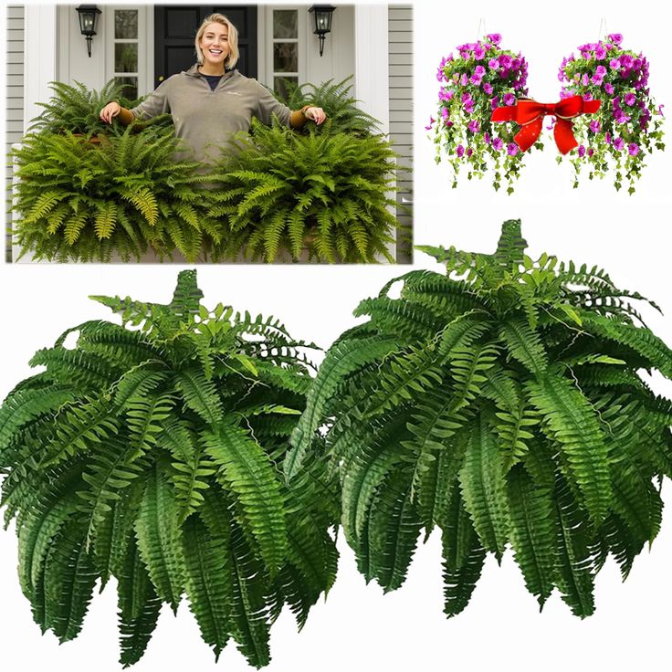 a woman standing in front of some plants